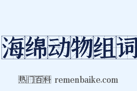 海绵动物组词是什么意思的图片